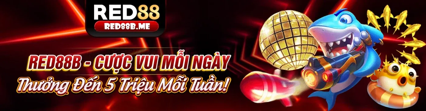 Cá cược bóng rổ mcw678 casino
